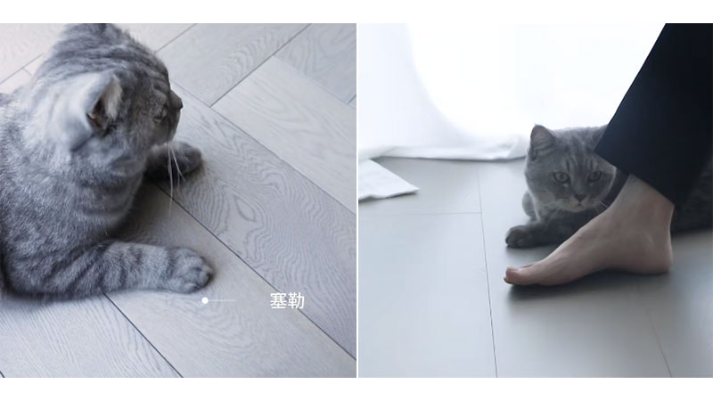 173206680387388015vA.jpg 3.jpg