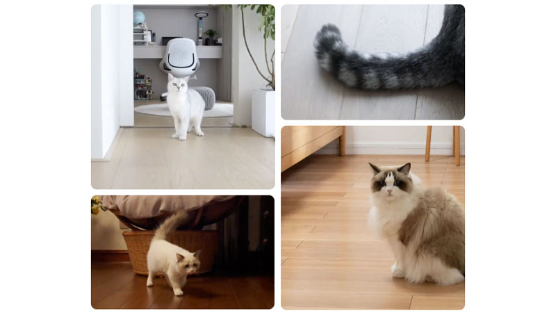 1732066812860132dViR.jpg 4.jpg