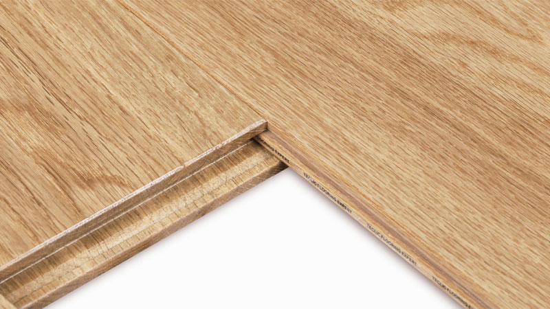 1734762391139116jj66.jpg 66.jpg