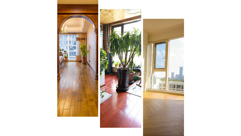 1744937817596962oGy8.jpg 未標題-10.jpg