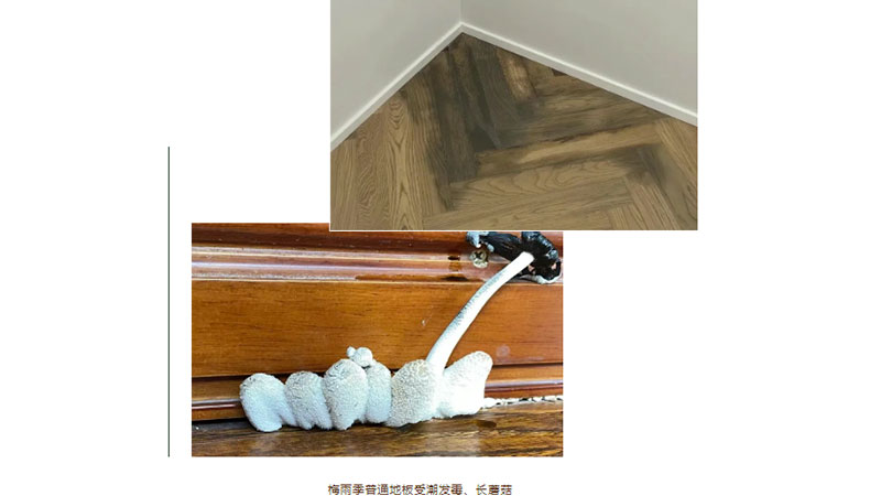 1749604258434415iU7O.jpg 未標題-2.jpg